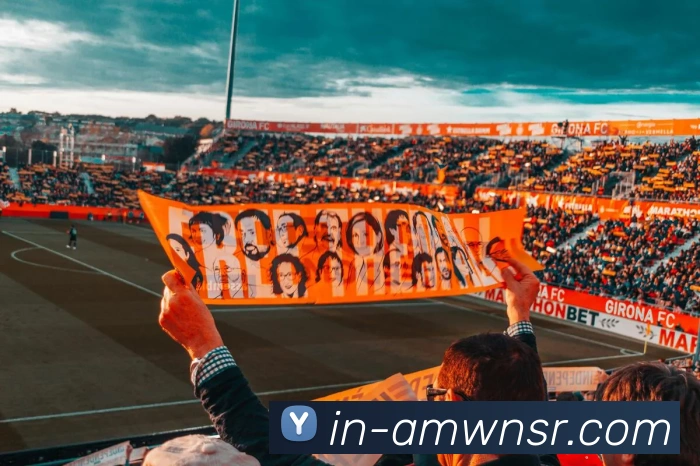 多媒体互动体验